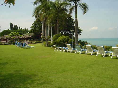 875.jpg